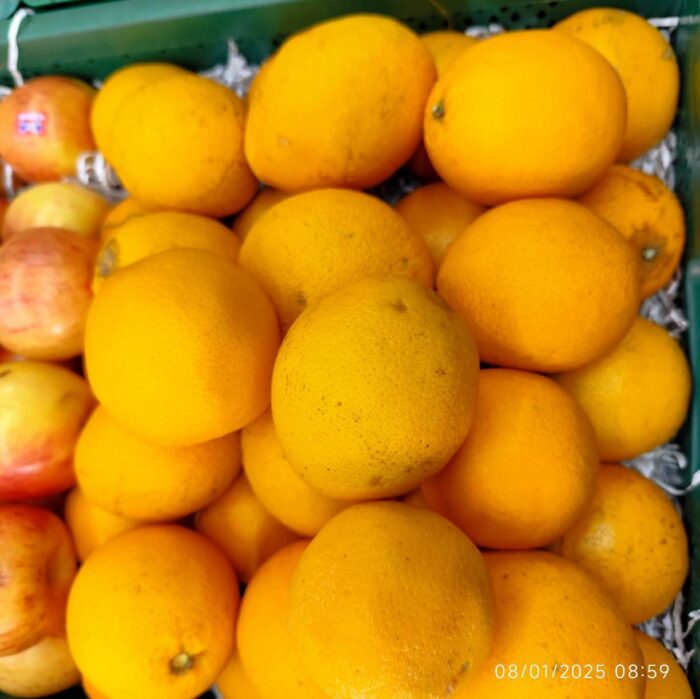 Valencia orange 1Kg پرتقال ابگیری - Image 2