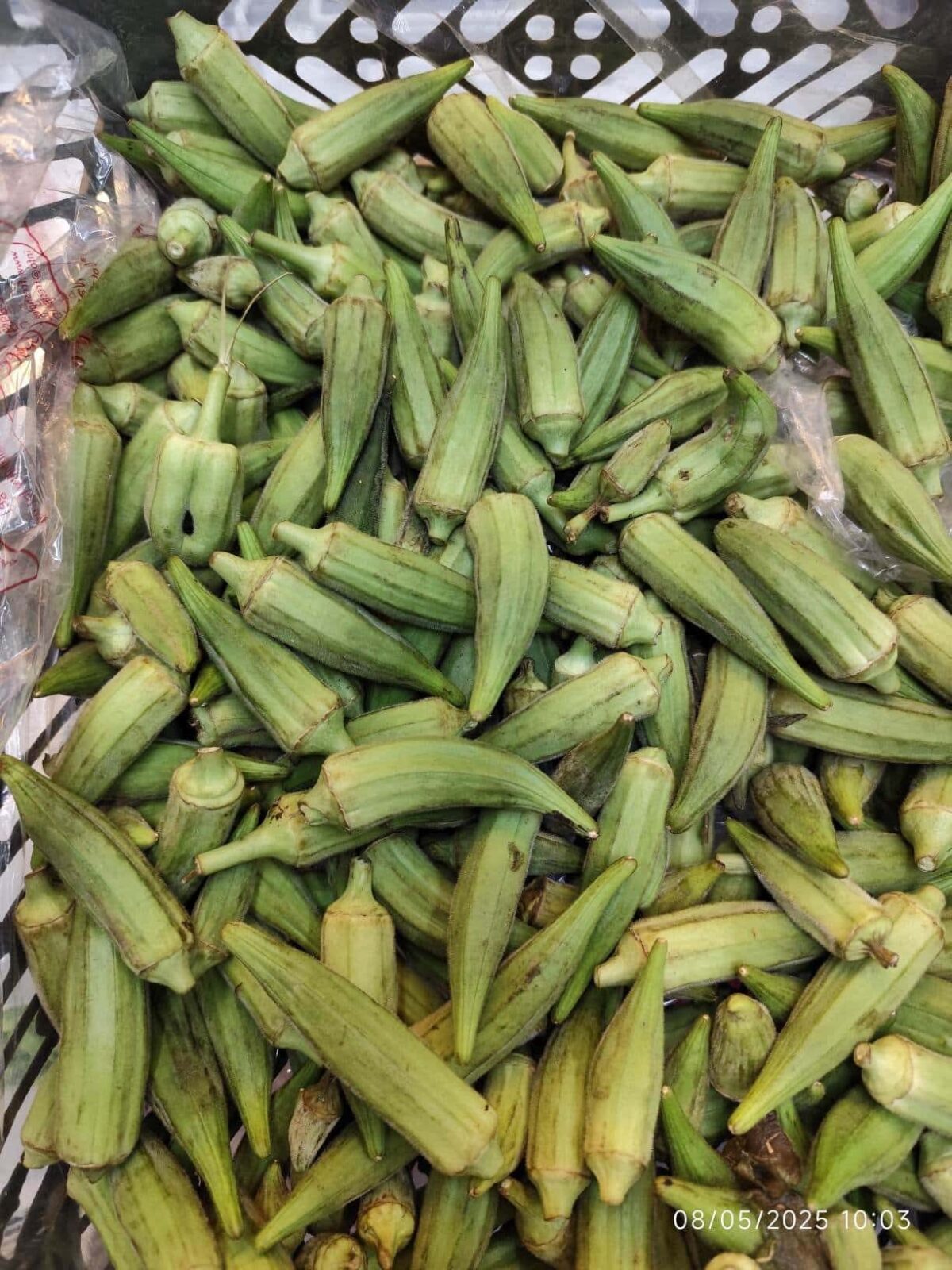 Iranian Okra 1kg بامیه ایران - Image 2
