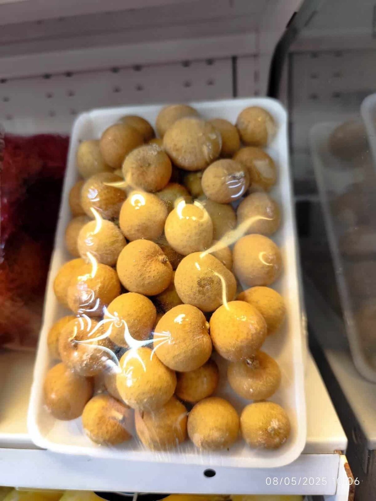 Longan 1pocket لونگان - Image 2