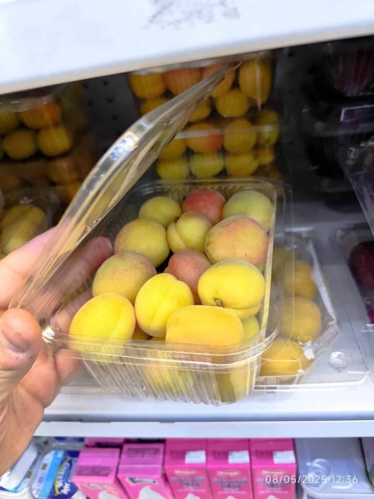 Iranian Apricot 1pocket زردآلو ایران - Image 2