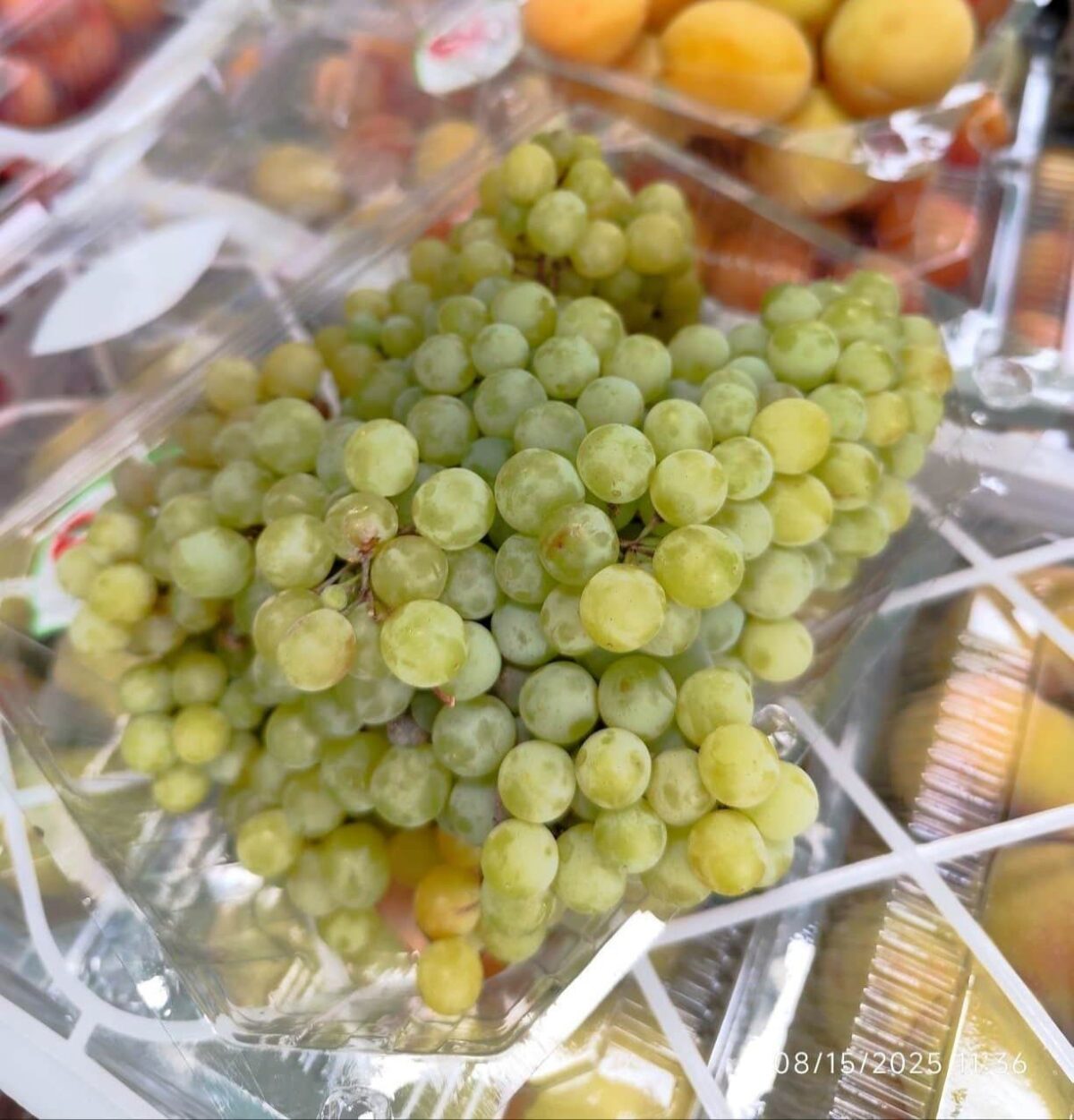 Yellow Grapes 1Pocket انگور زرد - Image 2