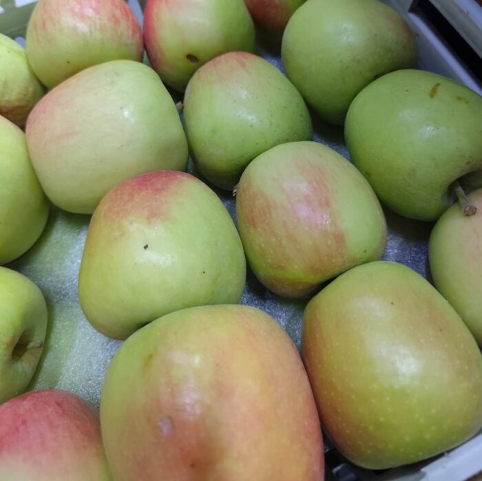 Iranian Golden apple  سیب زرد ایرانی - Image 1