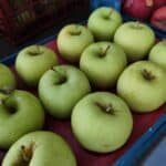 Iranian Golden apple 1kg سیب زرد ایرانی