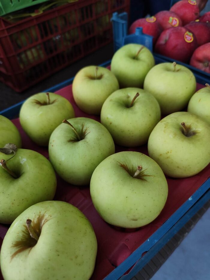 Iranian Golden apple  سیب زرد ایرانی - Image 1