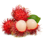 Rambutan 1Pocket رمبوتان
