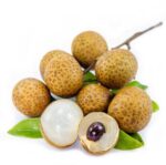 Longan 1pocket لونگان