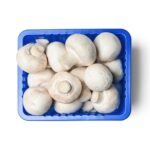 Mushroom 1Pocket قارچ - Image 2