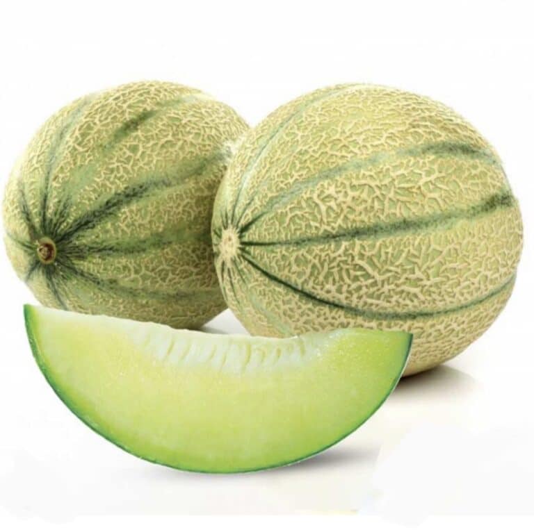 Iranian Green melon 1pc  طالبی سبز - Image 1