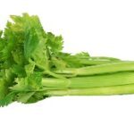celery 1Pc کرفس