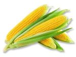 Iranian Sweet corn 1Kg (ذرت شیرین(بلال