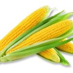 Iranian Sweet corn 1Kg (ذرت شیرین(بلال