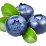 Blueberry 1Pocket 125gr بلوبری