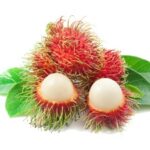 Rambutan 1Pocket رمبوتان