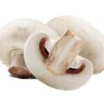 Mushroom 1Pocket قارچ