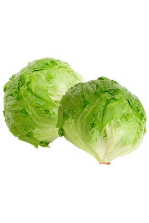 Lettuce iceberg کاهو پیچ