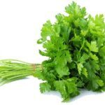 parsley 1Pc جعفری