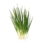 Spring onion 1pc پیازچه