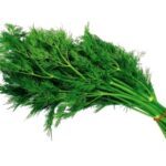 Dill 1Pc شوید