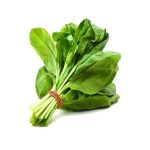 Spinach 1Pc اسفناج