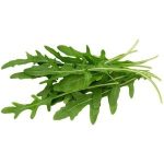 Arugula 1Pc جرجیر