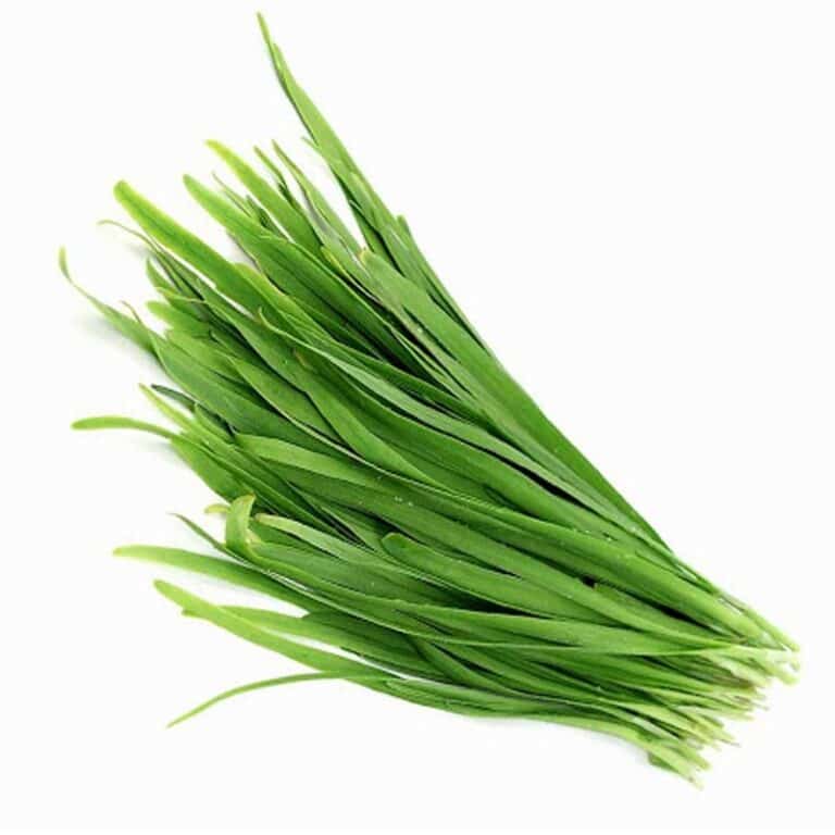Chives  تره - Image 1