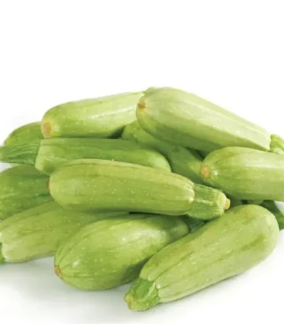 Fresh Green Zucchini Vegetable
