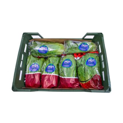 Lettuce Romance box  کاهو رسمی باکس