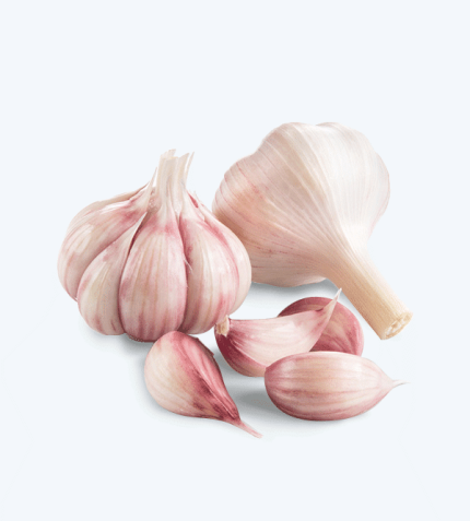 fresh garlic box  سیر تازه ایران باکس