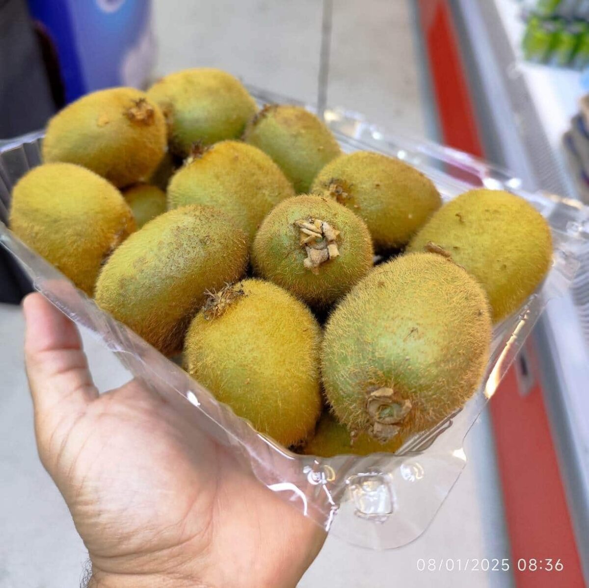 Kiwi green 1Pocket کیوی سبز ایران - Image 2