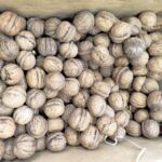 Dry walnut iran گردو خشک ایران - Image 2