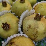 Iranian pomegranate(yellow)  انار ایرانی پوست زرد - Image 2