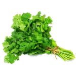 Coriander 1Pc گشنیز