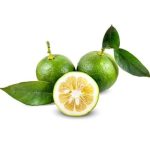 Bitter orange (narenj)1kg نارنج ایران