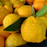 Bitter orange (narenj)1kg نارنج ایران