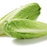 Lettuce romaine 1Pc کاهو رسمی