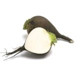 black radish 1Kg تربچه سیاه