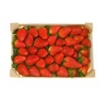 Egypt Strawberry box 1kg توت فرنگی باکس