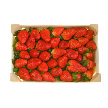 Strawberry box 1.5kg توت فرنگی باکس