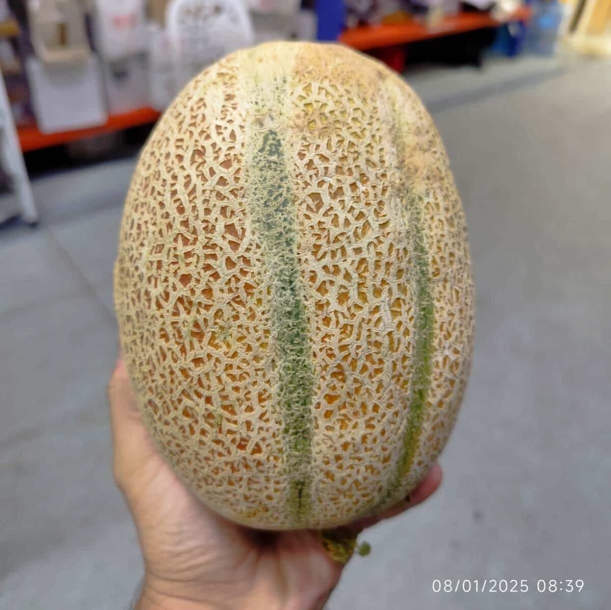 Iranian Jana Melon 1pc ملون جانا - Image 2