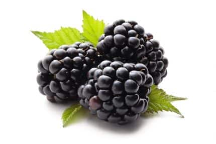 BlackBerry بلك بري
