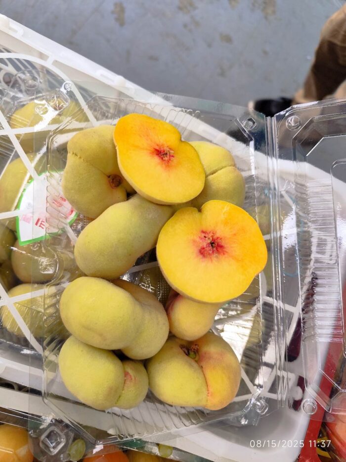 Donut Peach 1Pocket هلو انجیری - Image 2