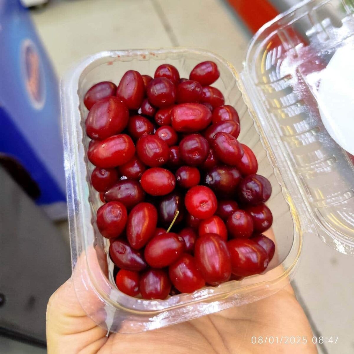 Cornelian Cherry 1Pocket-250gr ذغال اخته - Image 2