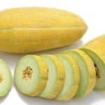 Mashhadi melon خربزه مشهدی