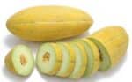 Mashhadi melon خربزه مشهدی