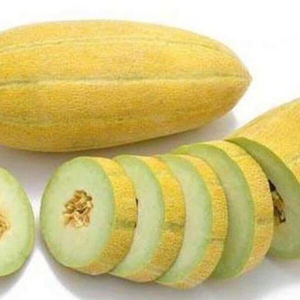 Mashhadi melon خربزه مشهدی