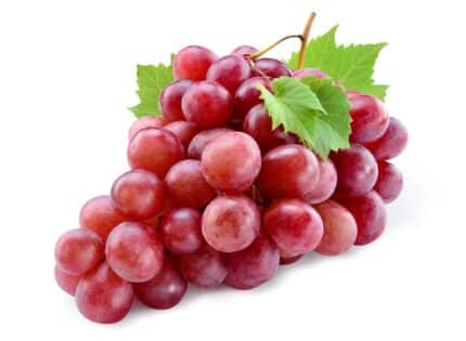 Red  Grape 1Pocket انگور قرمز