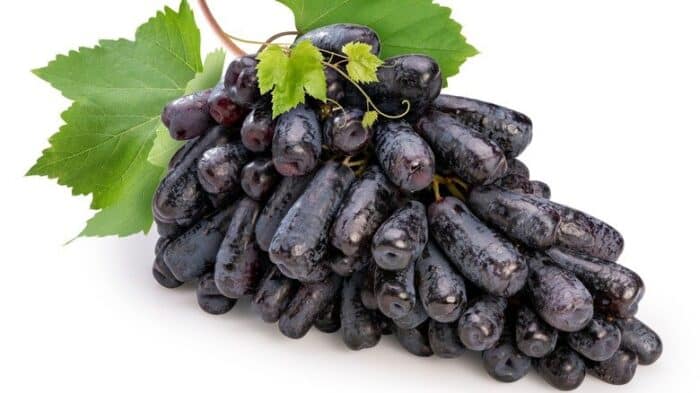 Black Long Seedless Grapes انگور بی هسته - Image 1