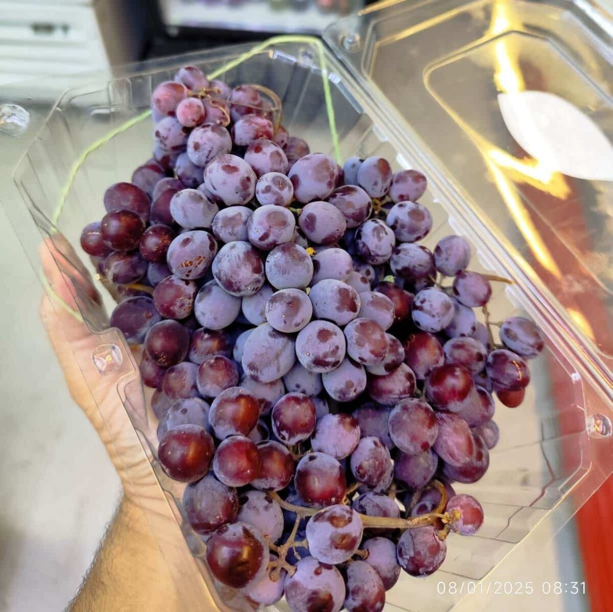 Red Grapes Kondori 1Pocket انگور قرمز کندوری - Image 2