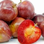 Iranian Khaki Plum 1 pocket آلو خاکی