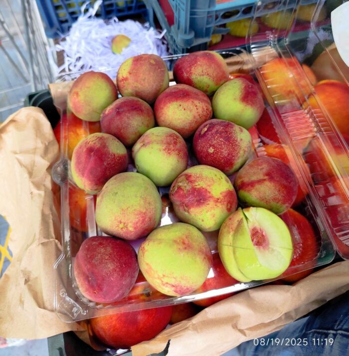 Nectarine Rafati 1pocket شلیل رفعتی - Image 1
